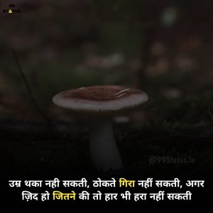 Motivational Quotes in Hindi for Students