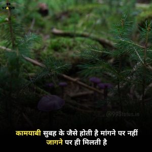 Quotes in Hindi for Students